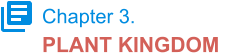 Chapter 3. PLANT KINGDOM