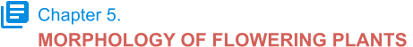 Chapter 5. MORPHOLOGY OF FLOWERING PLANTS