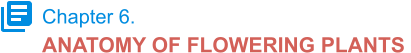 Chapter 6. ANATOMY OF FLOWERING PLANTS