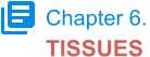 Chapter 6. TISSUES